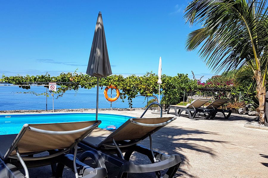 Garden and pool Quinta Golfinho