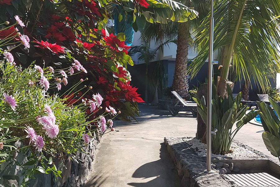 Quinta Golfinho's Garden