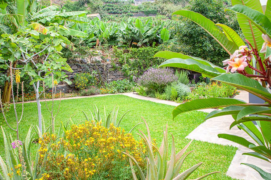 Quinta Golfinho's Garden