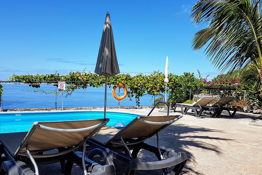 Pool Quinta Golfinho