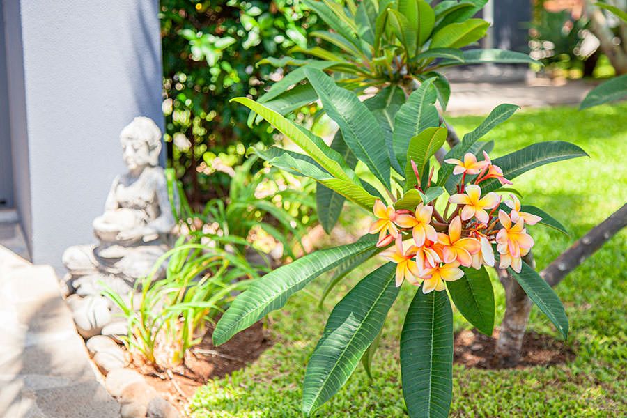 Quinta Golfinho Garden