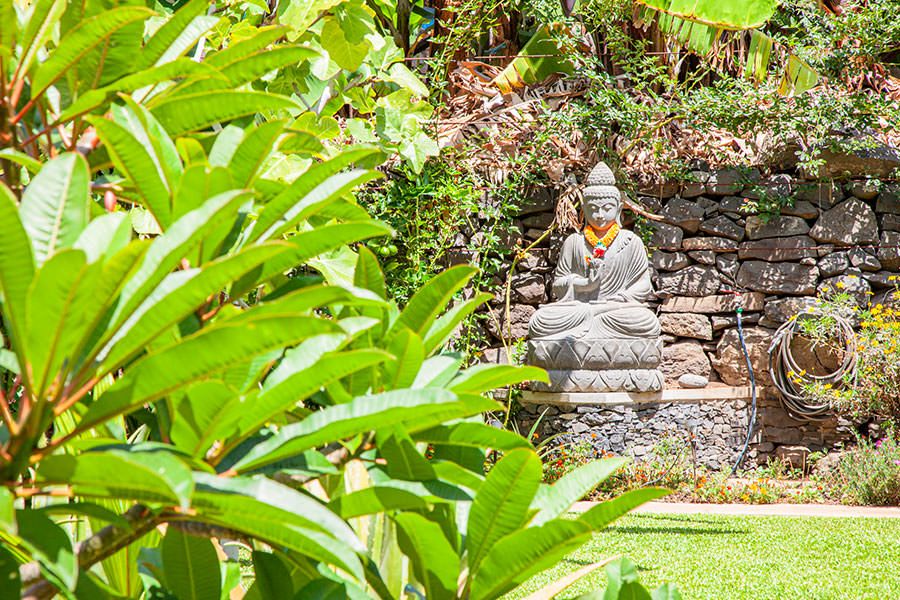 Casa Frangipani Garden