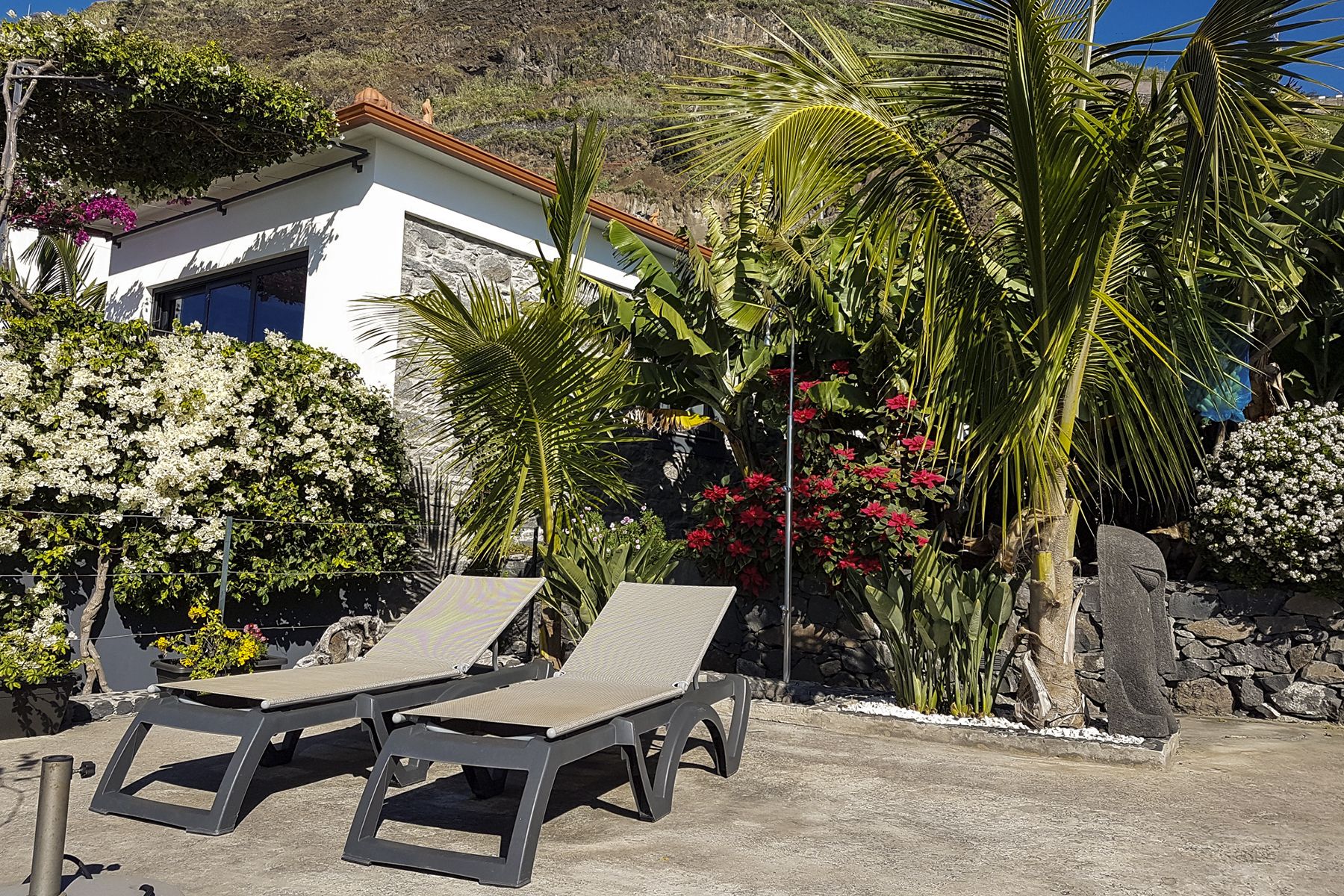 Palmeira Apartment Quinta Golfinho