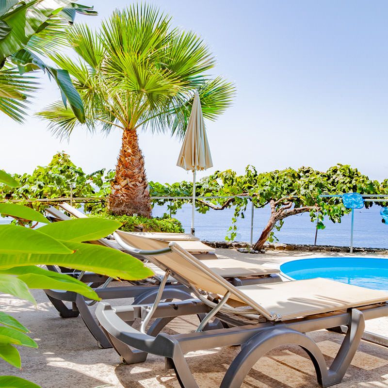 Quinta Golfinho Calheta